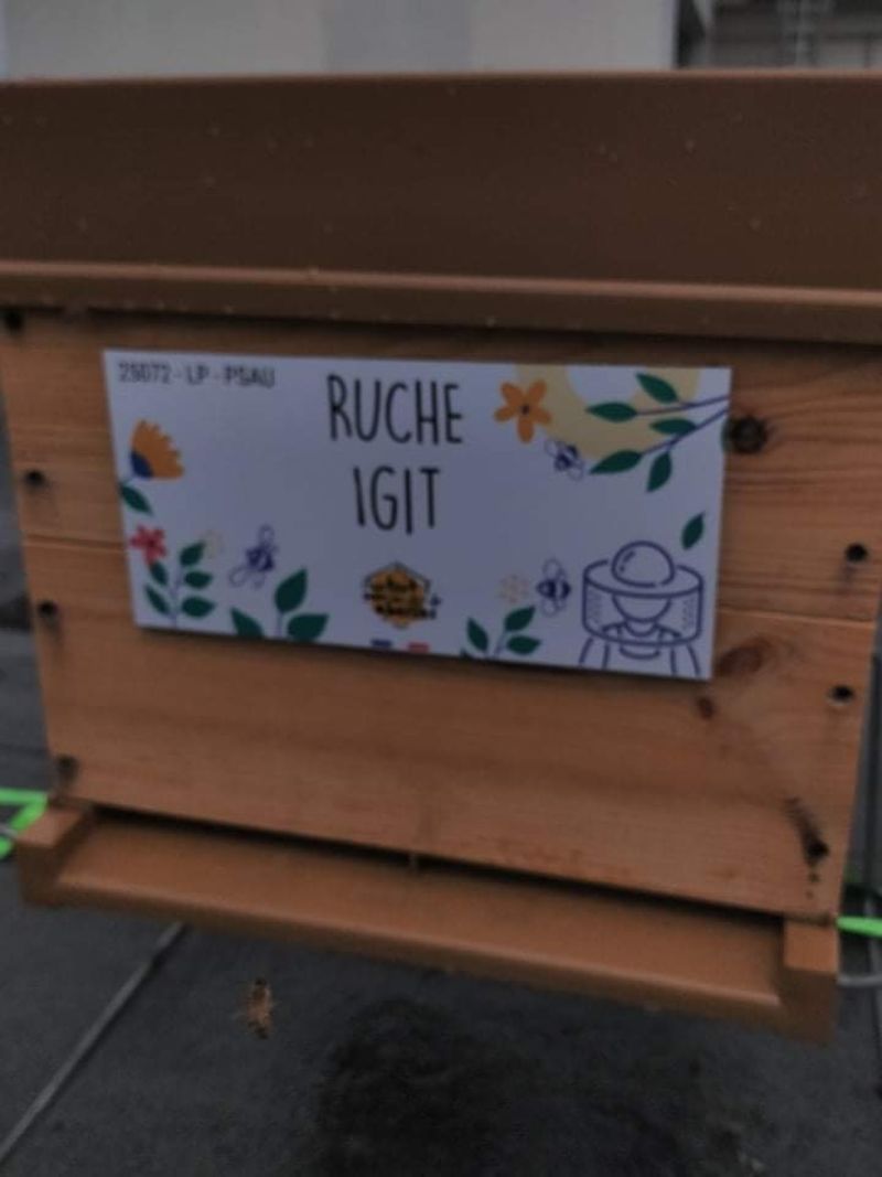 La ruche 