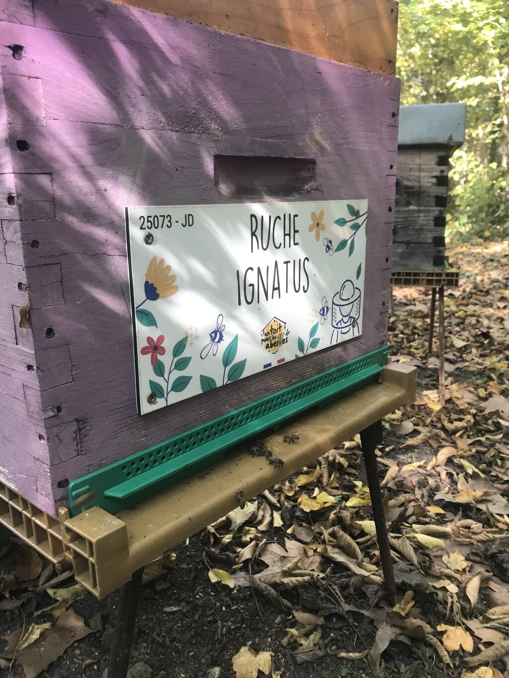 La ruche Ignatus