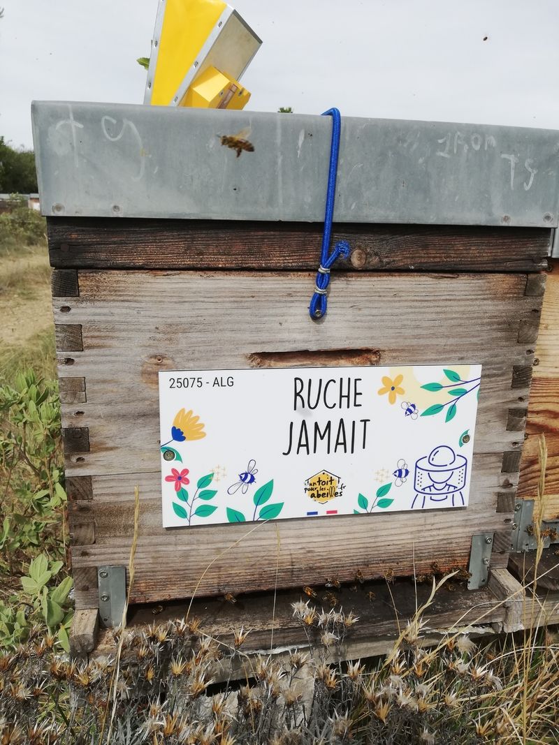 La ruche Jamait
