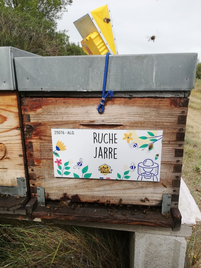 La ruche Jarre