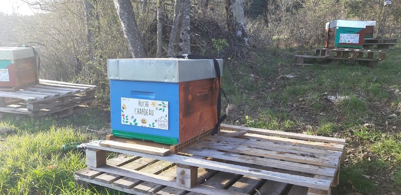 La ruche Chardeau
