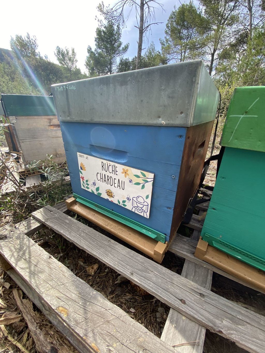 La ruche Chardeau