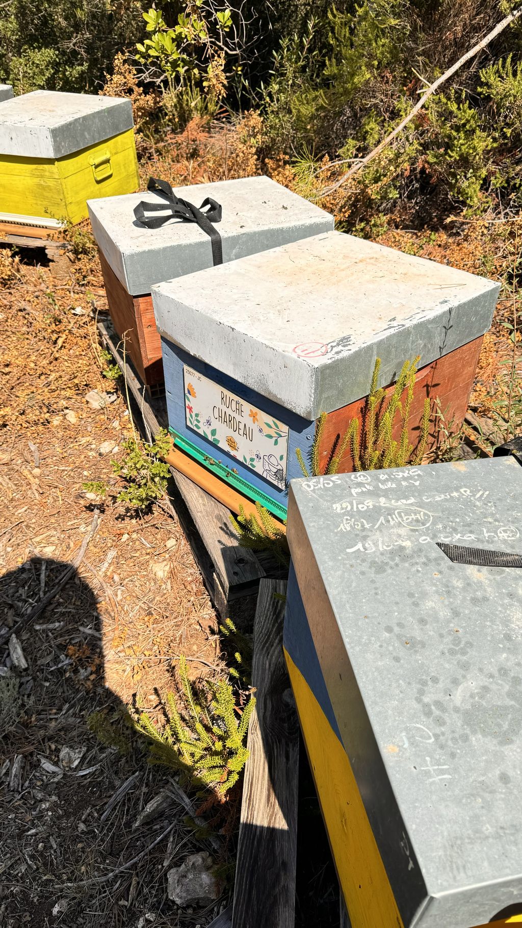 La ruche Chardeau