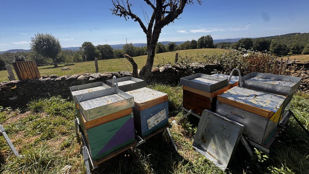 La ruche Chardeau