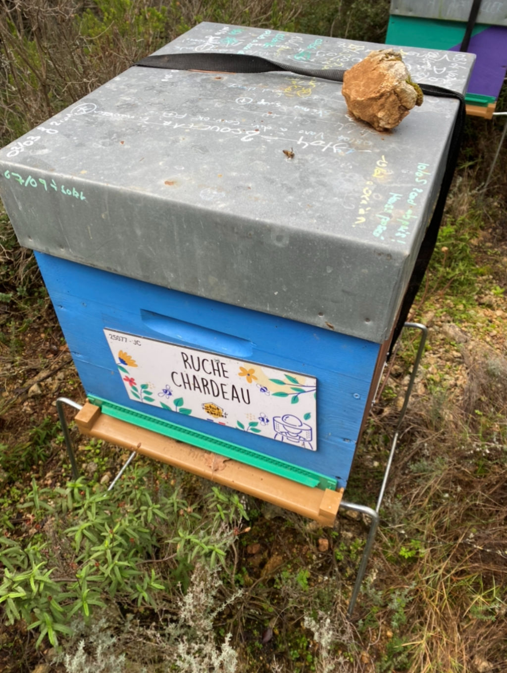 La ruche Chardeau