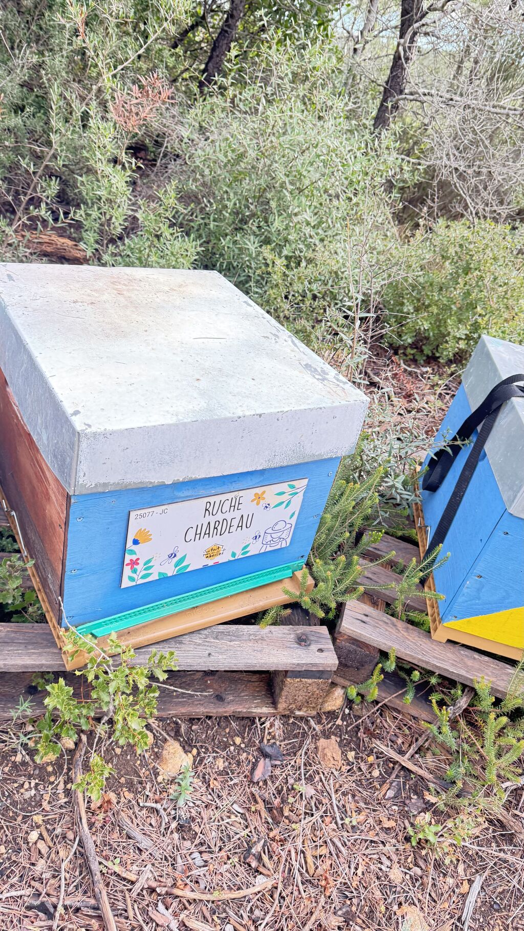 La ruche Chardeau