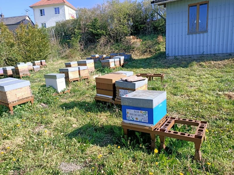 La ruche Papaconstantino