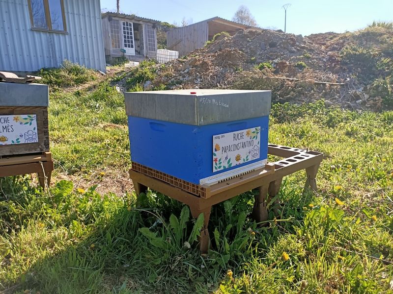 La ruche Papaconstantino