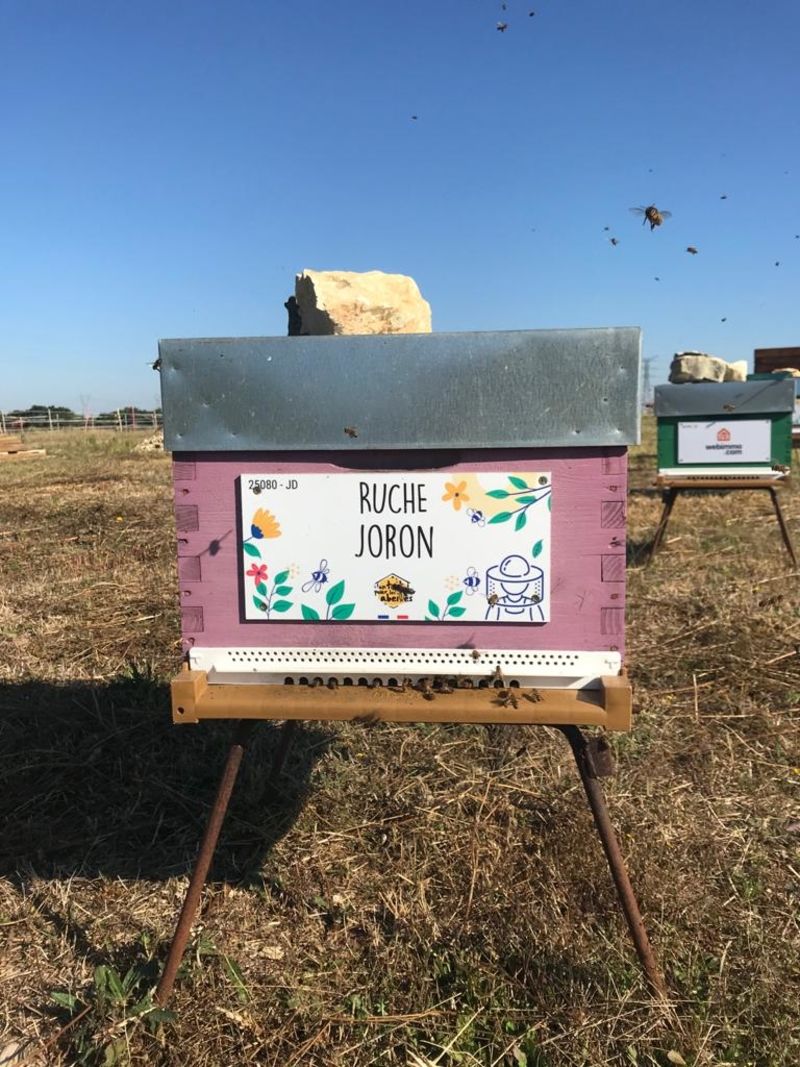 La ruche Joron