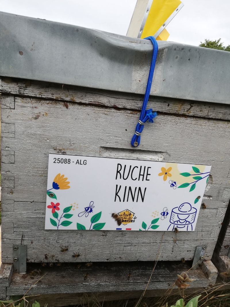 La ruche Kinn
