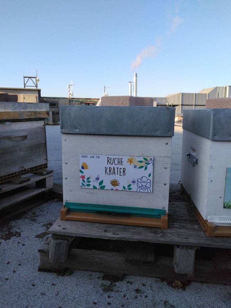 La ruche Krater