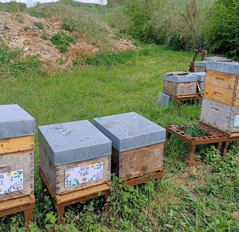 La ruche Kwal