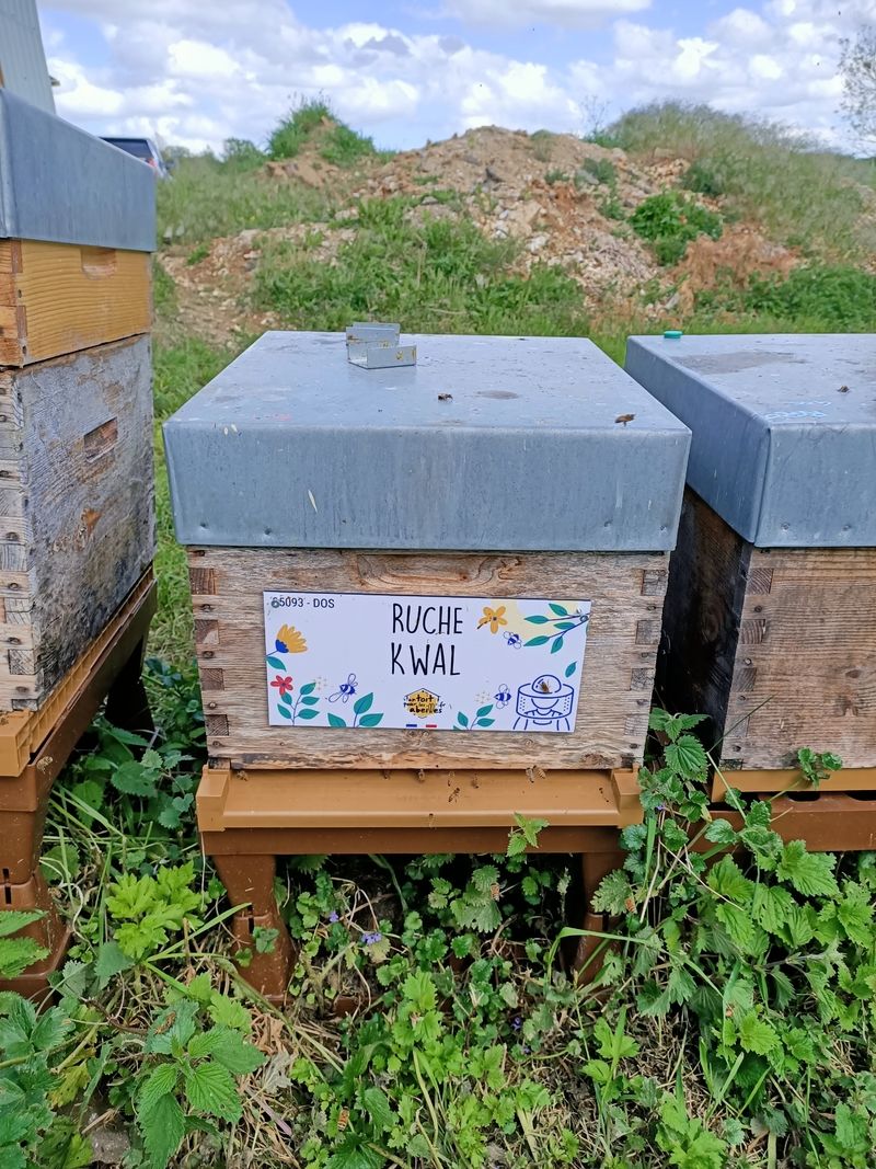 La ruche Kwal