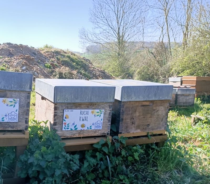 La ruche Kwal