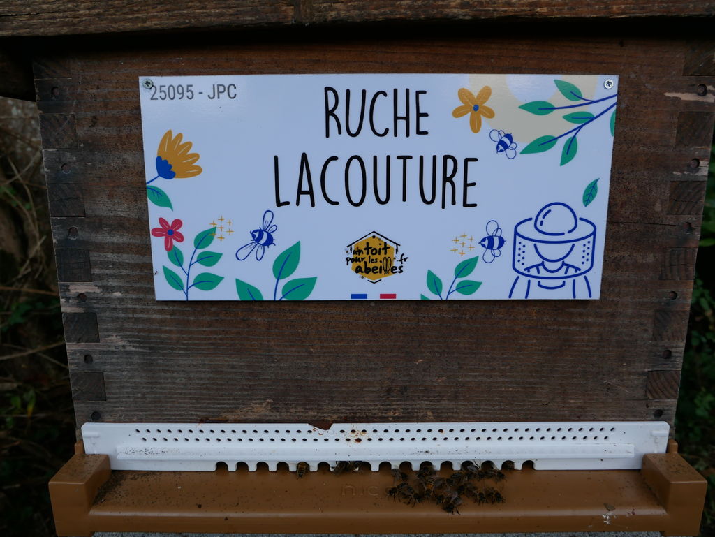 La ruche Lacouture