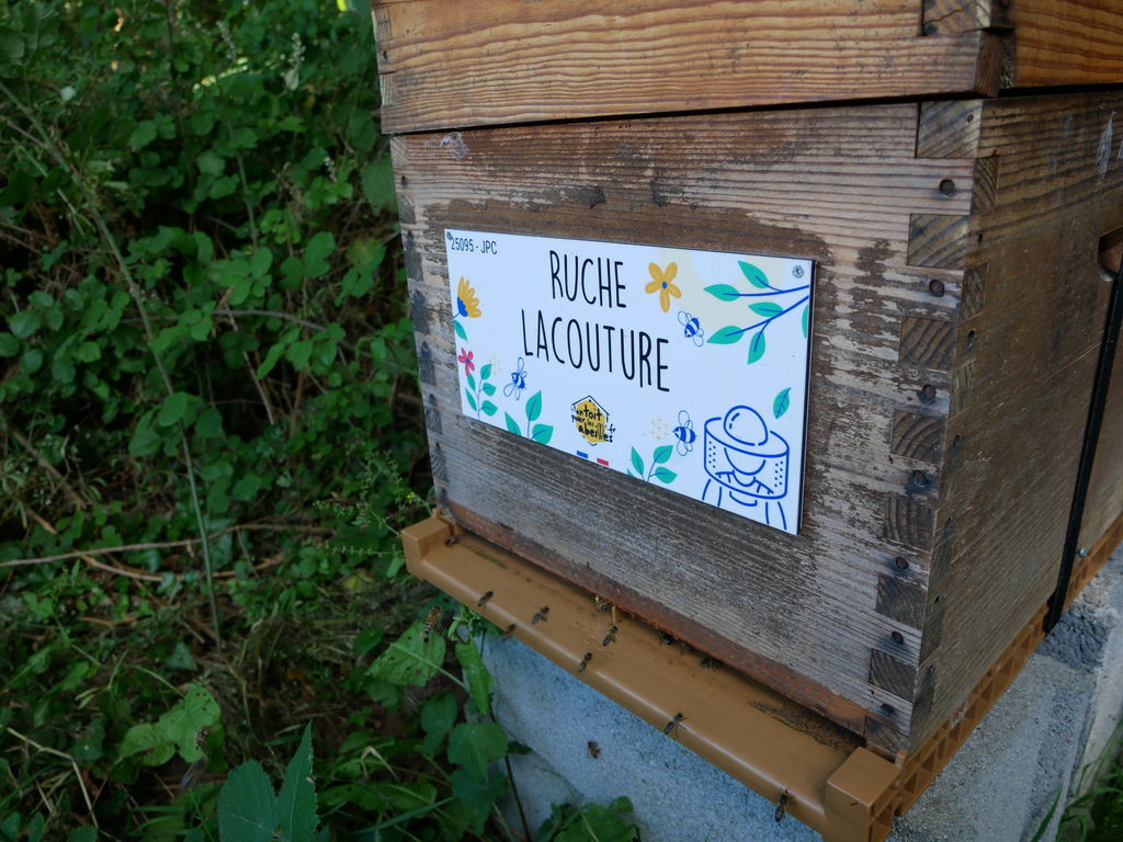 La ruche Lacouture