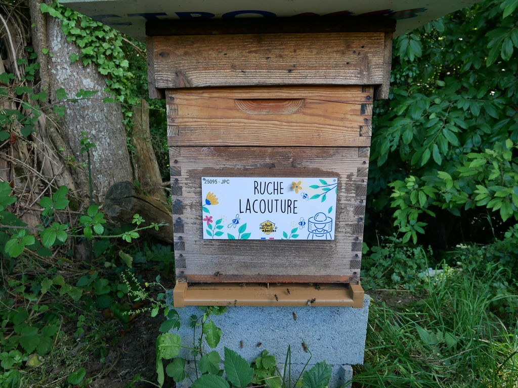 La ruche Lacouture