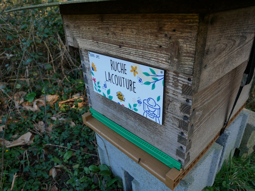 La ruche Lacouture