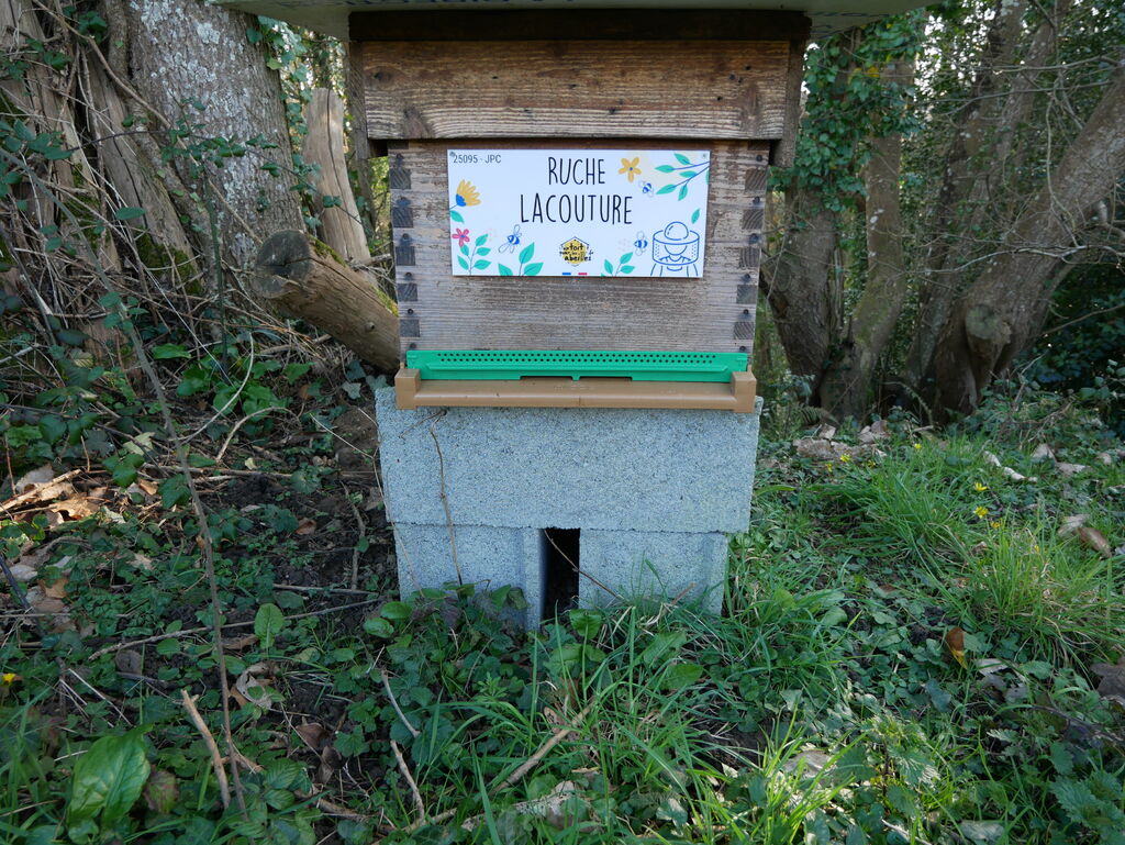 La ruche Lacouture