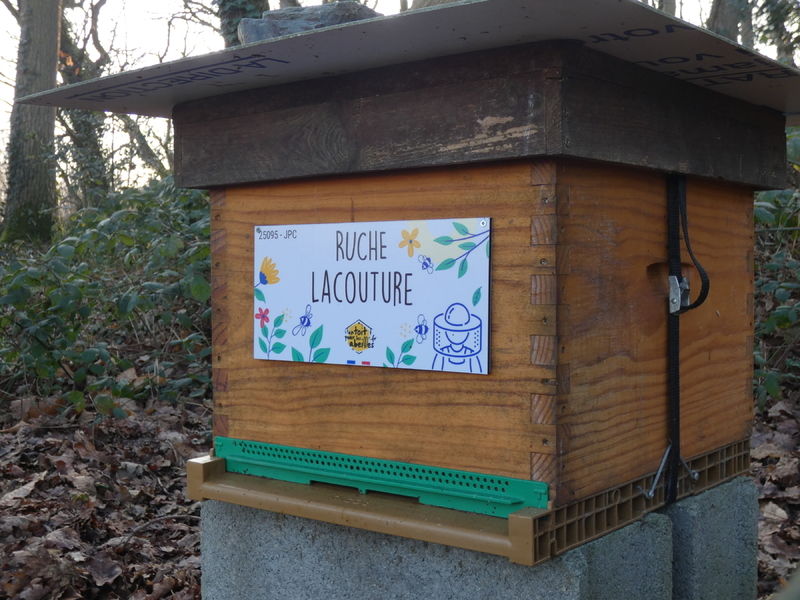 La ruche Lacouture