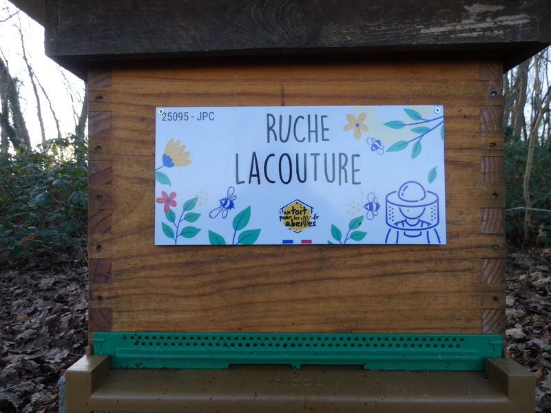 La ruche Lacouture