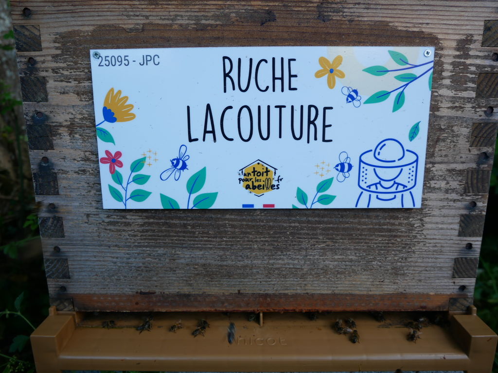 La ruche Lacouture