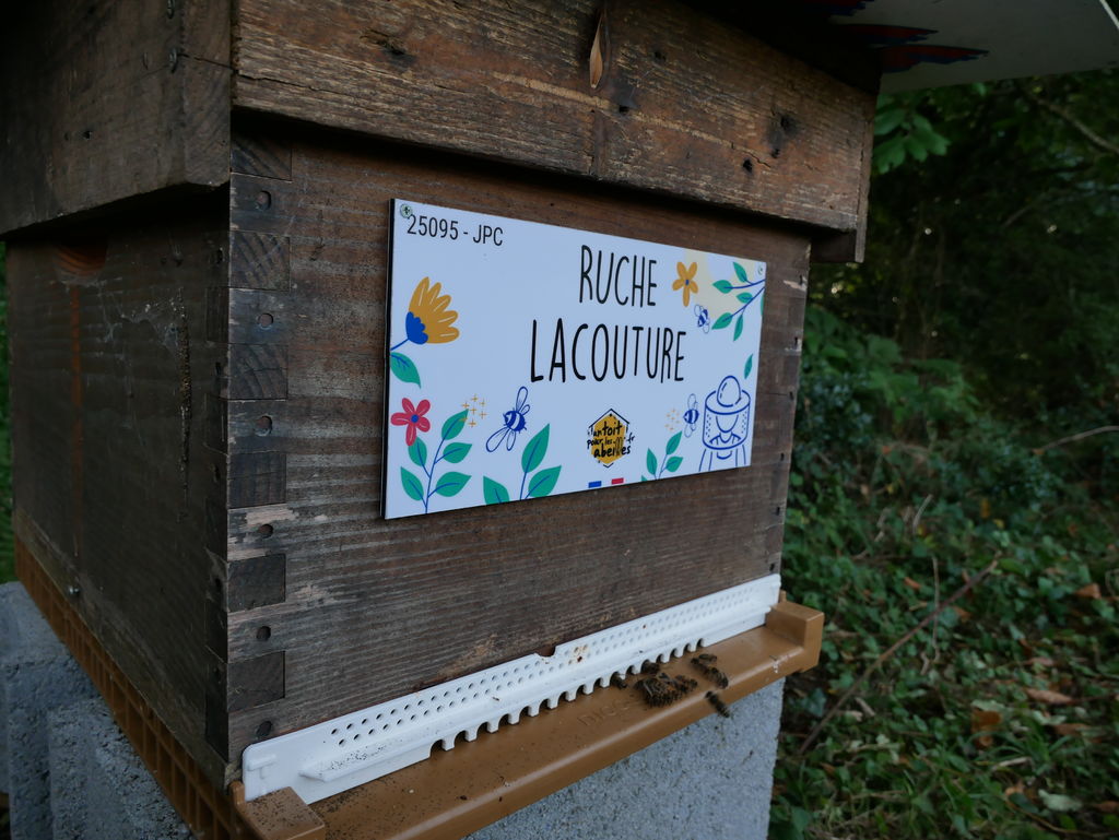La ruche Lacouture