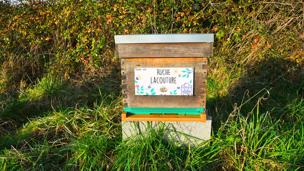La ruche Lacouture