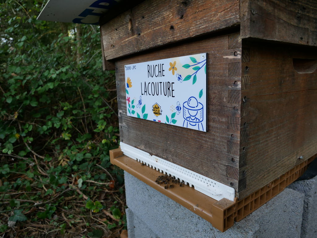 La ruche Lacouture