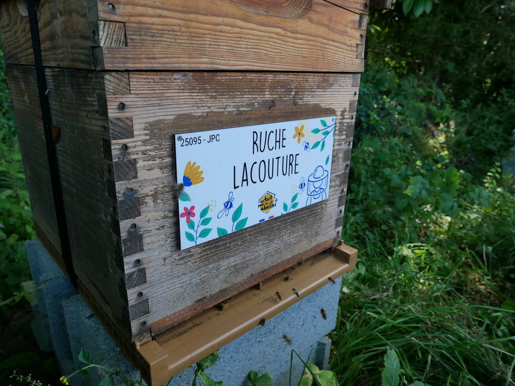 La ruche Lacouture