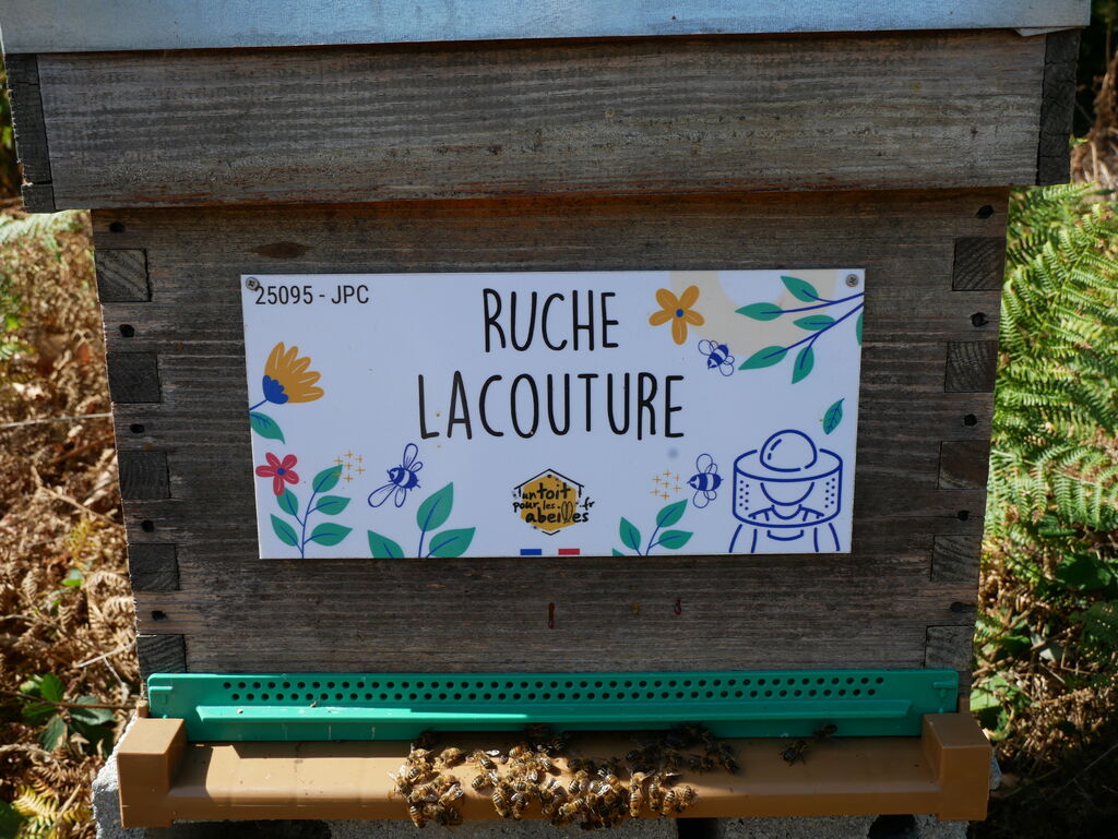 La ruche Lacouture