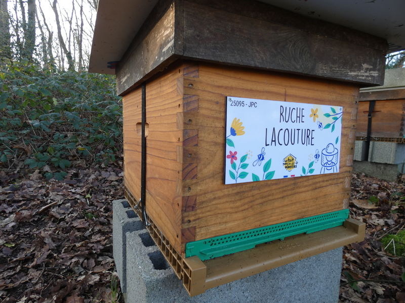 La ruche Lacouture
