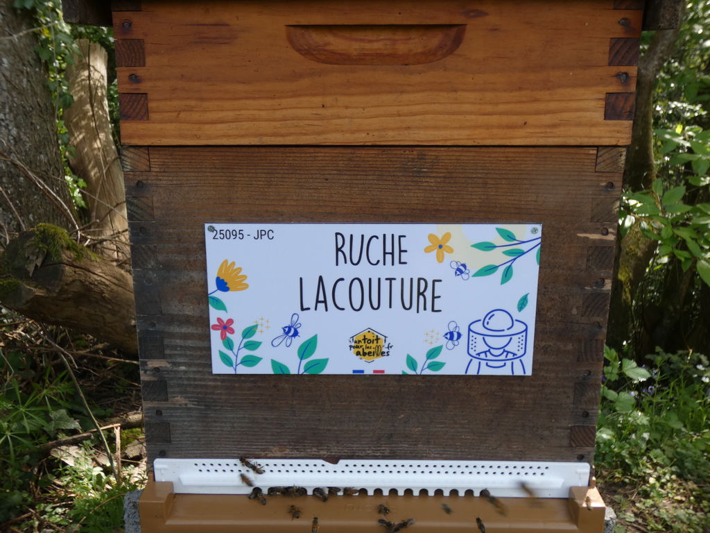 La ruche Lacouture