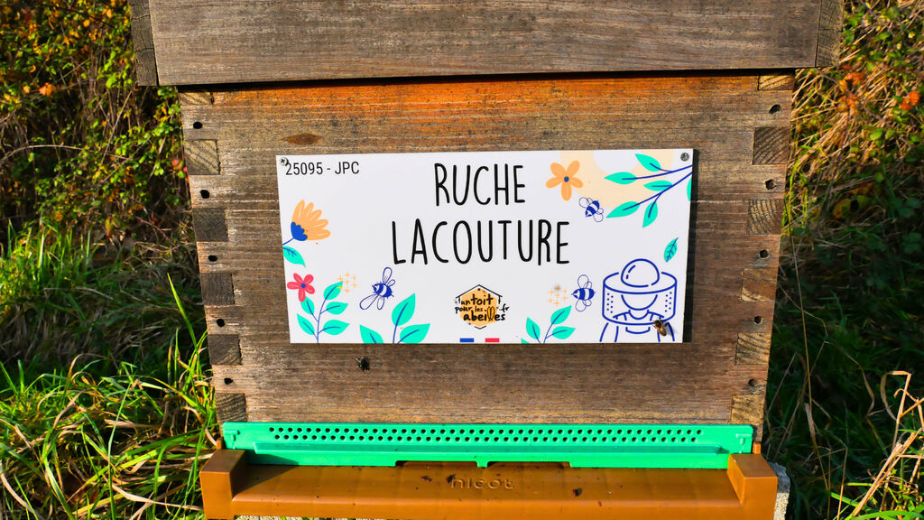La ruche Lacouture
