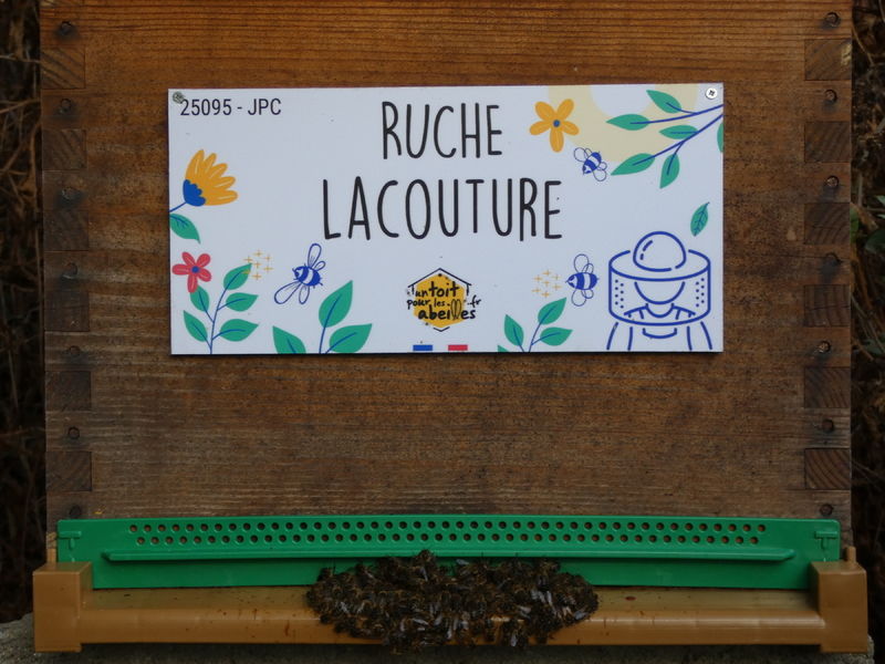 La ruche Lacouture