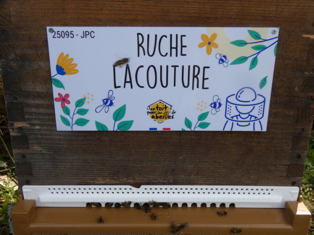 La ruche Lacouture
