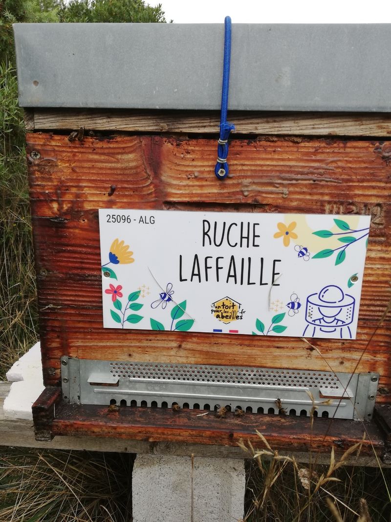 La ruche Laffaille