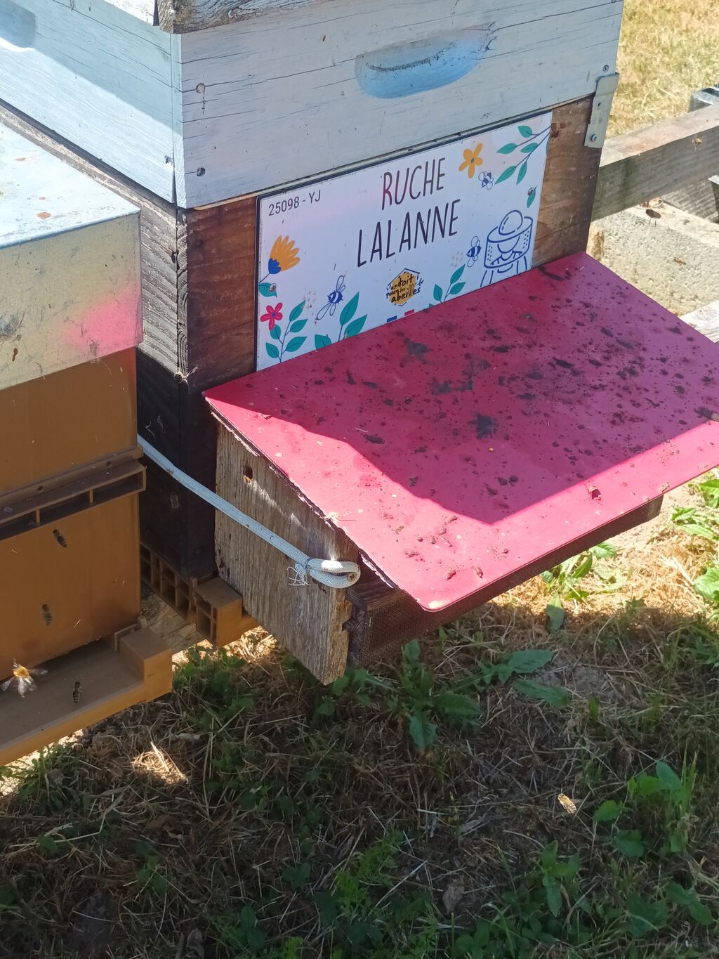 La ruche Lalanne