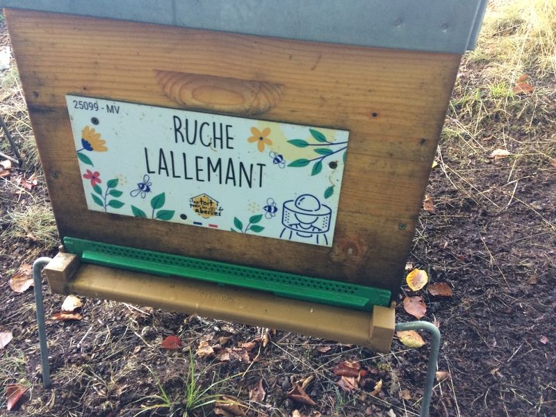La ruche Lallemant
