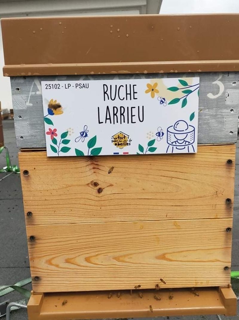 La ruche 