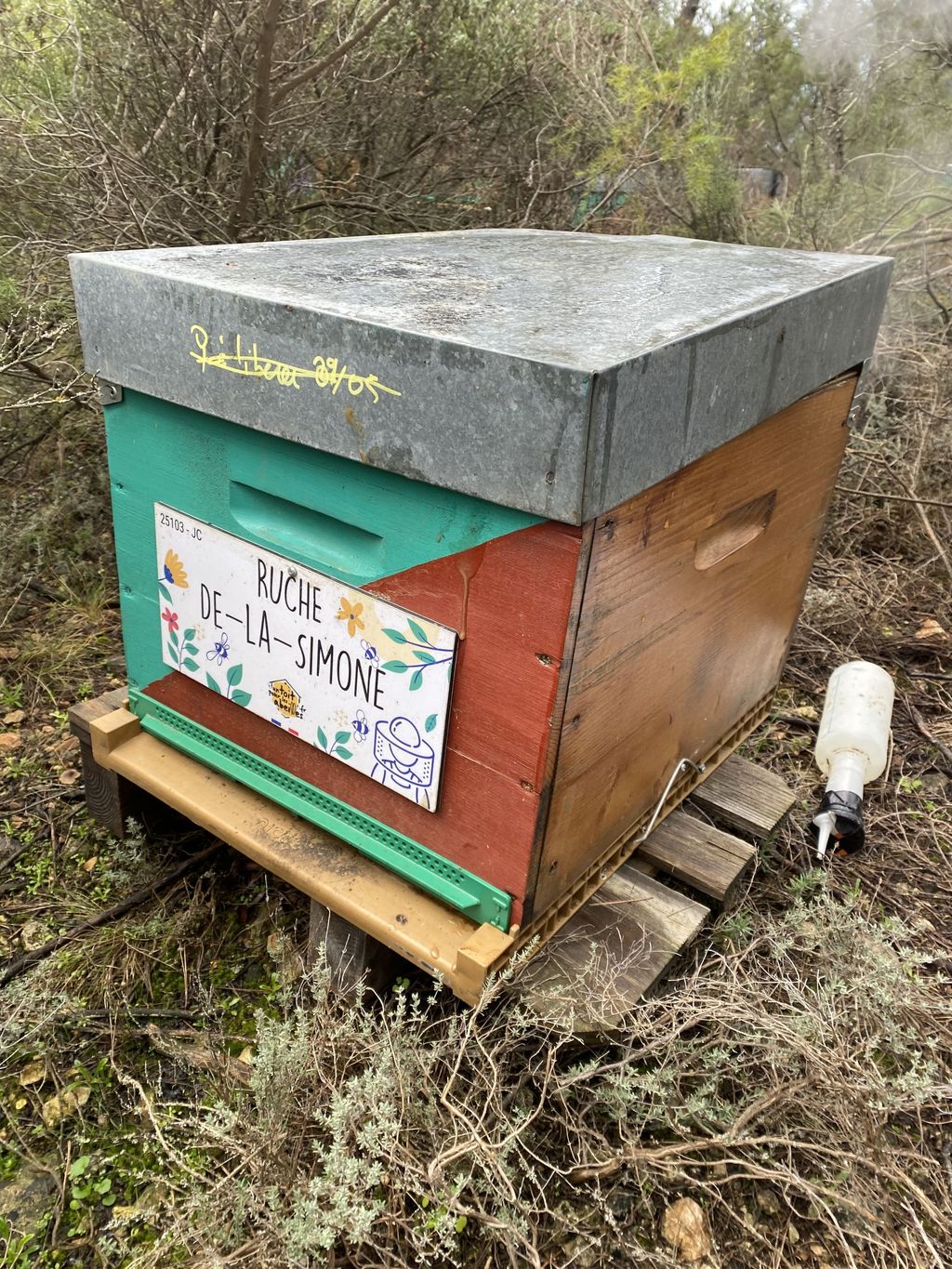 La ruche De-la-Simone