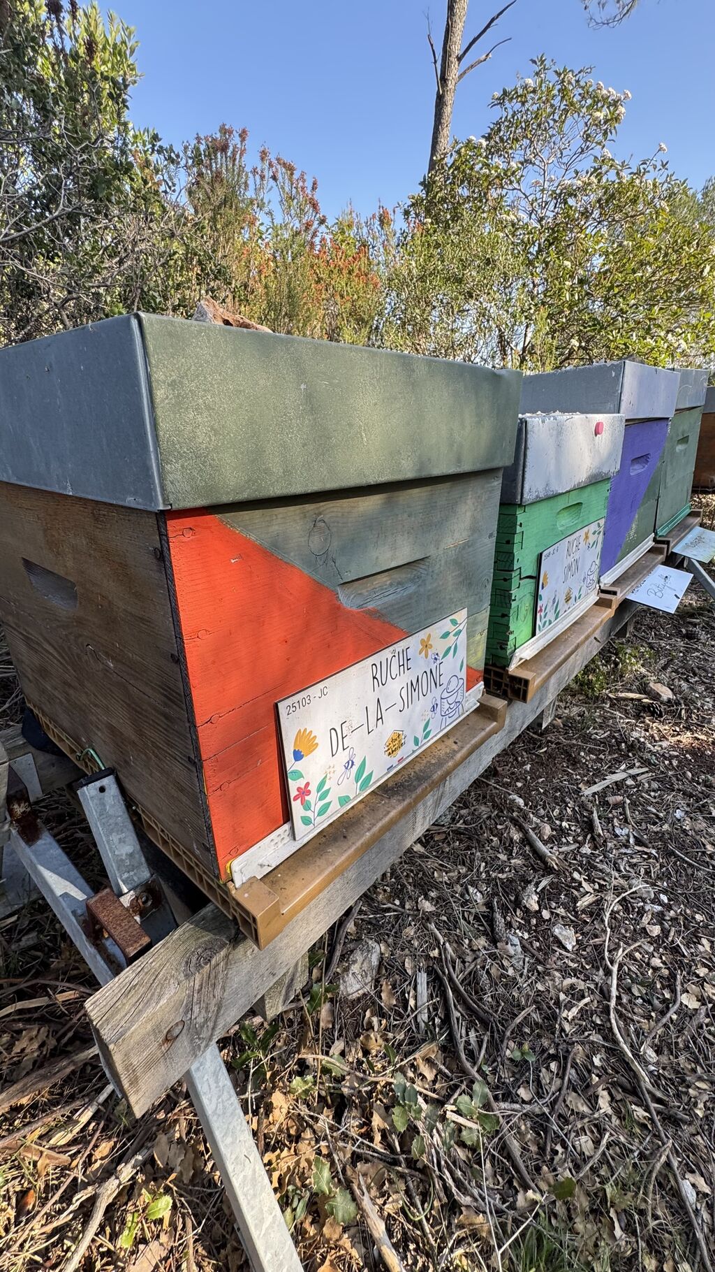 La ruche De-la-Simone