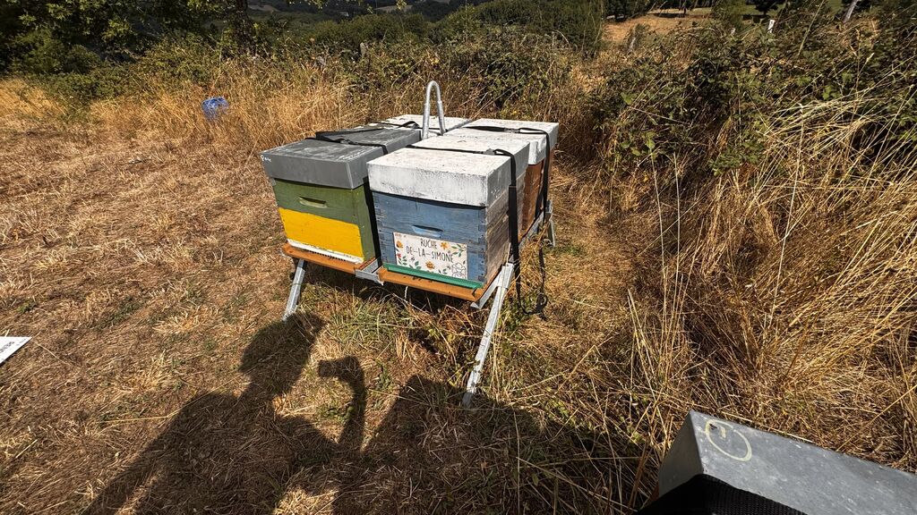 La ruche De-la-Simone