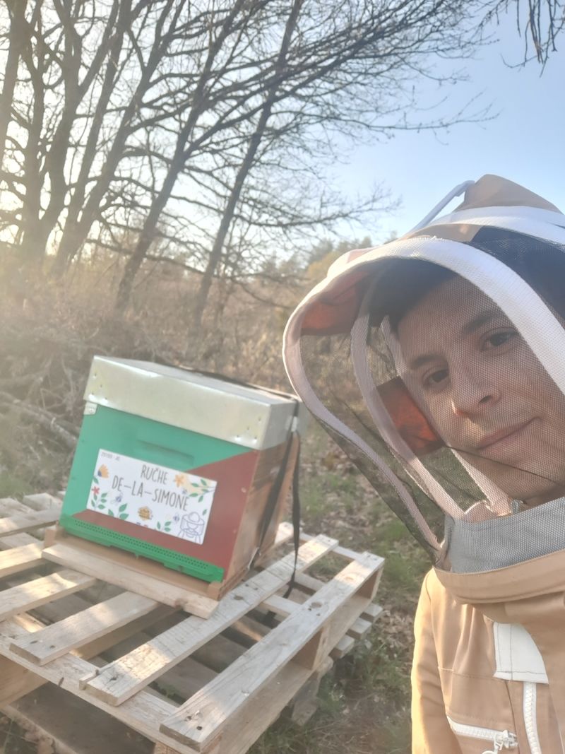 La ruche De-la-Simone