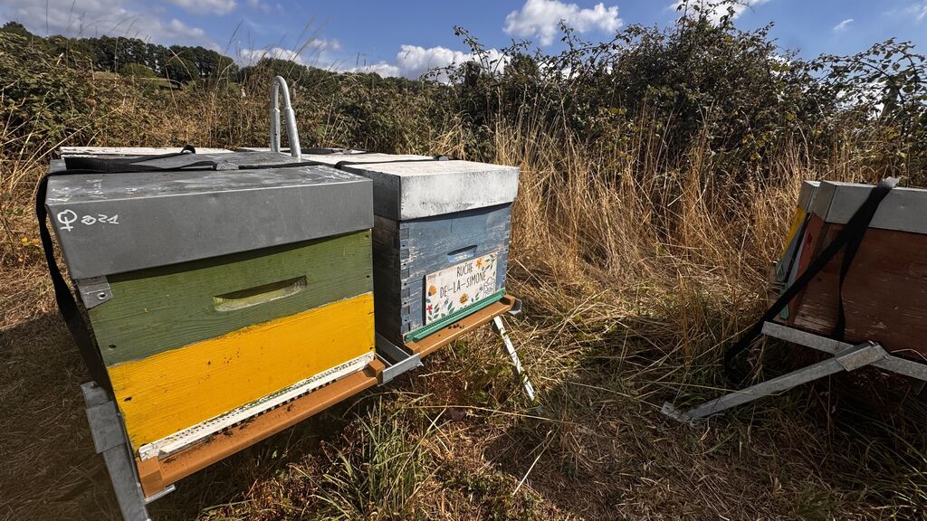 La ruche De-la-Simone