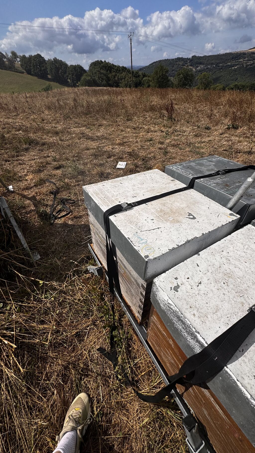 La ruche De-la-Simone