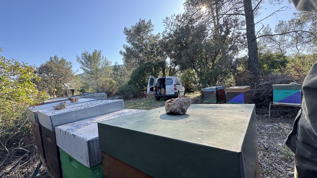 La ruche De-la-Simone