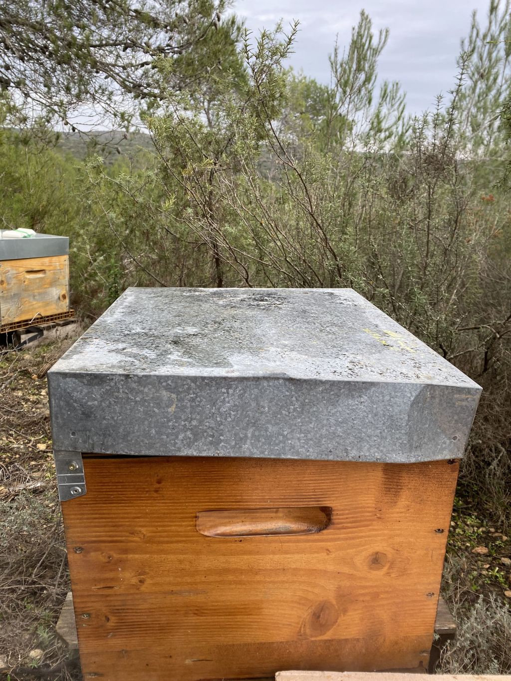 La ruche De-la-Simone