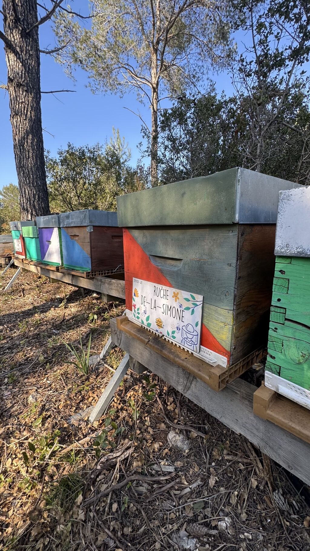 La ruche De-la-Simone