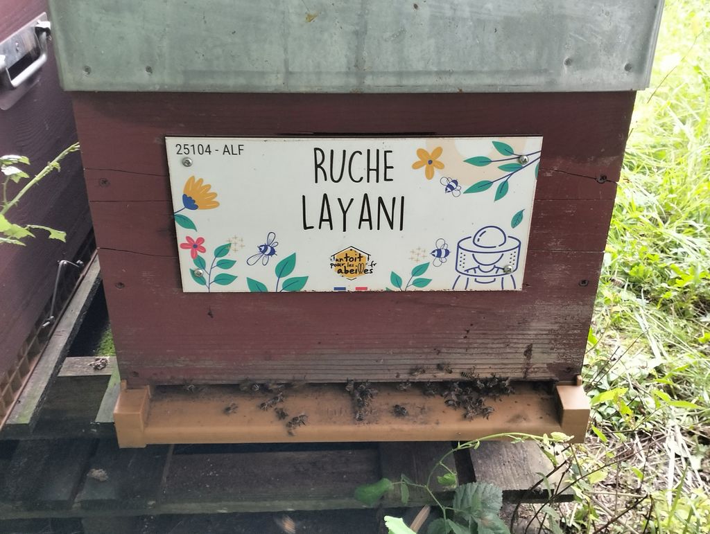 La ruche Layani